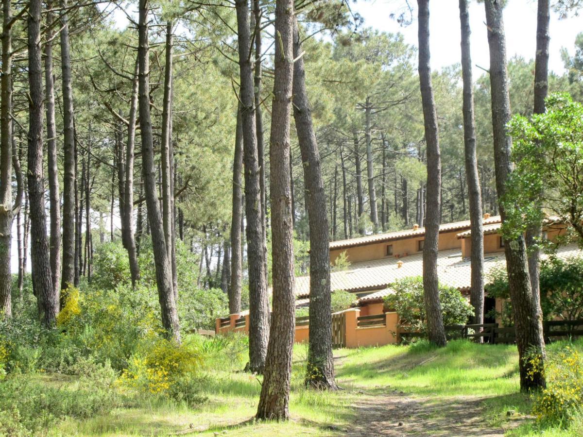 Holiday Home Les Maisons De La Foret By Interhome 拉卡诺 外观 照片